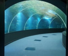 Voyage en haute mer - Nausicaa - Photo1