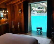 Zoo de la flèche - Lodges safari Photo 2 - BLC ZOOTECH