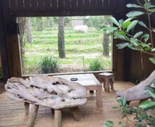 Zoo de la flèche - Lodges safari Photo 7 - BLC ZOOTECH