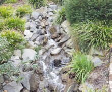 Zoo de la flèche - Photo 13 - BLC ZOOTECH