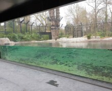 Vivarium - Zoo d'Amiens