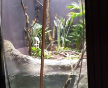 Pose des vivariums, paludariums, aquaterrariums