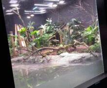 Pose des vivariums, paludariums, aquaterrariums