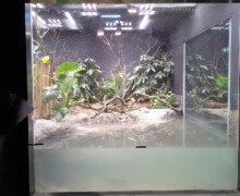 Pose des vivariums, paludariums, aquaterrariums
