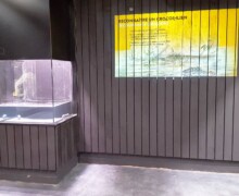 Pose des vivariums, paludariums, aquaterrariums