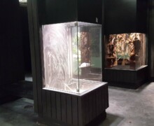 Pose des vivariums, paludariums, aquaterrariums