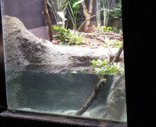 Pose des vivariums, paludariums, aquaterrariums