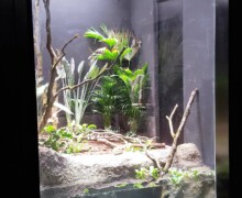 Pose des vivariums, paludariums, aquaterrariums
