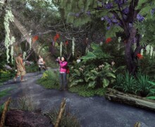 Vallee ORCHIDEES - Tropicalia